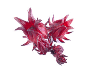roselle on white background
