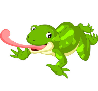 Cute frog cartoon

