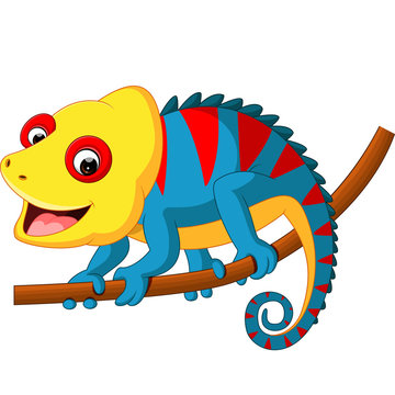 Cute Chameleon cartoon