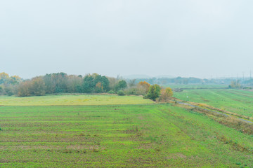 Fototapeta na wymiar Open lush green agricultural landscape