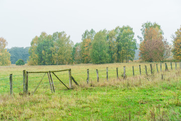 Old rustic farm fence and gate