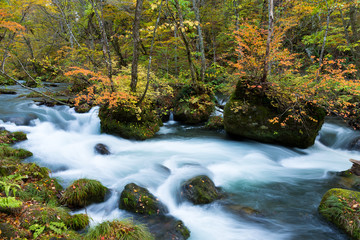 Oirase Stream in autumn