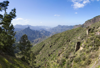 Central Gra Canaria in December