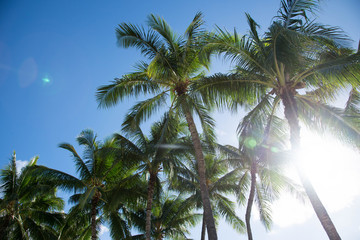 Obraz premium Hawaii