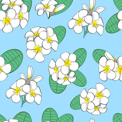 Floral seamless pattern. White flowers plumeria background.