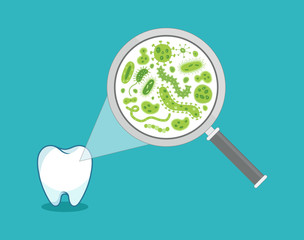Green bacteria on a white tooth being viewed on a magnifying glass - vector illustration