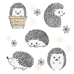 Set of cute watercolor hedgehogs isolate on white. Vector illustration.  © Afanasia