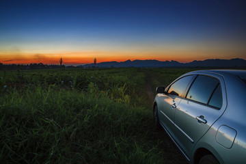 Fototapeta na wymiar car on country road of agriculture field with beautiful sun set
