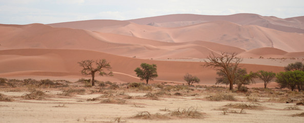 Fototapeta na wymiar Namib landscape