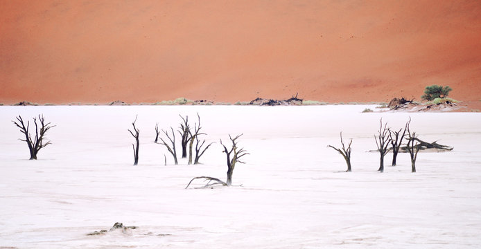 Sossusvlei, Namibia © rufar
