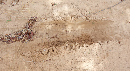 tire track