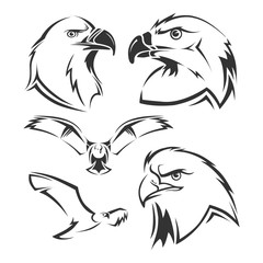 Eagle, hawk vector mascots set
