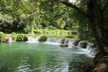 small little liver waterfall with tree and green water