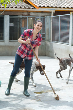 cleaning time for kennel assistant