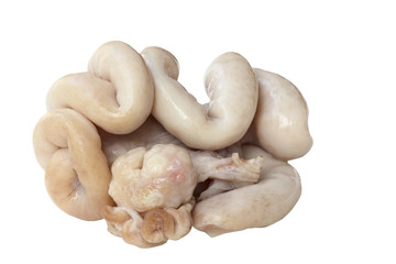Chitterlings internal organs of pig