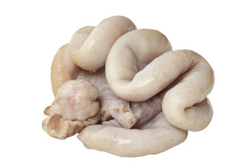 Chitterlings internal organs of pig