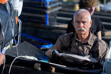 fisherman working