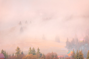Obraz na płótnie Canvas Foggy autumn landscape at mountain valley. Dramatic and picturesque morning scene. Vintage toning effect. Carpathians, Ukraine, Europe.