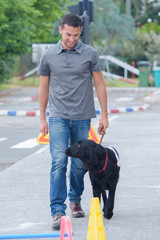 man training dog