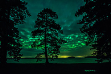 Fototapeta premium Northern lights dancing over calm lake in Sweden