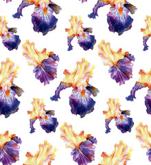 Handwork watercolor seamless pattern with iris on white background. Hand drawn illustration. 