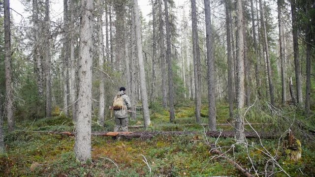 Man hunter outdoor in forest hunting alone