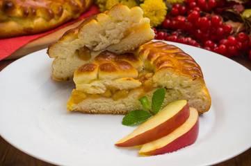 Slice of mouth watering rustic apple pie. Top view. Close-up
