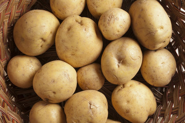 A basket of fresh, raw potatoes