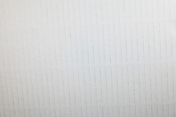 White cardboard background.