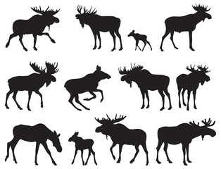 Set of Moose Silhouettes. Vector Images
