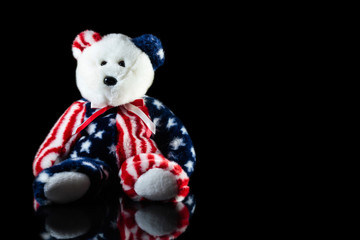 American teddy bear on a black background.
