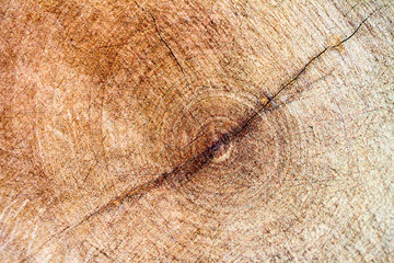 Wooden texture and background