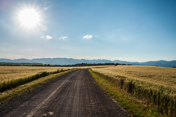 Fototapeta premium Summer landscape