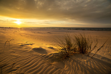 Sand dunes against the sunset light on the beach in northern Poland
