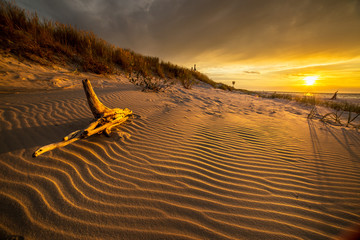 Sand dunes against the sunset light on the beach in northern Poland - obrazy, fototapety, plakaty