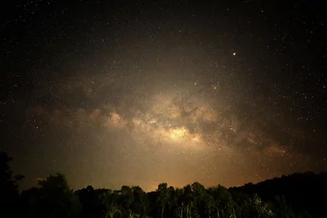 Foto auf Acrylglas Beautiful star field  over trees © peangdao