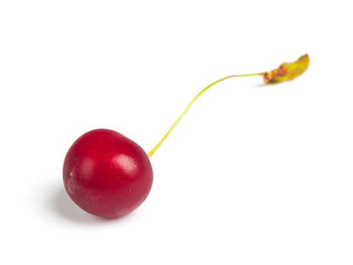 Cherry berry isolated