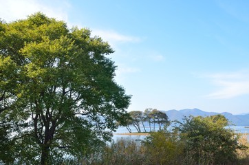 琵琶湖湖畔