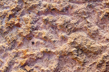 Rock floor texture and background