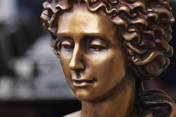 The goddess of love Aphrodite (Venus)