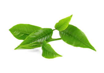  tea leaves isoalted on the white background
