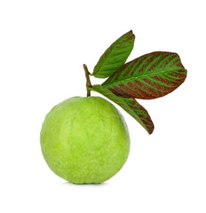 Guava fruit isolated on the white background.