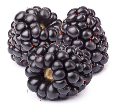 Group of three ripe blackberries isolated on white background with clipping path