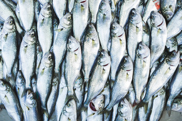 Obraz premium Fish background at the street market