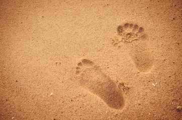 Fototapeta na wymiar Copy space of footprint on sand beach