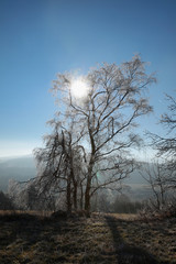 Cold morning in Sumava National park, hills and villages in the fog and rime, misty view on czech landscape, blue winter scene,