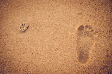 Copy space of footprint on sand beach with dried coral. Travel concept.