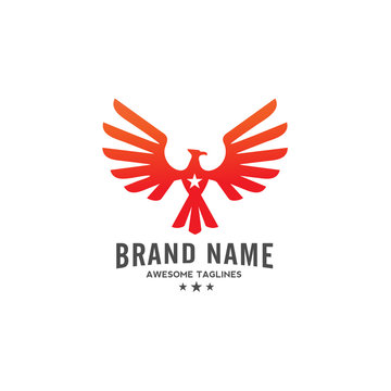 eagle Vector with star logo ,  eagle bird,  hawk logo illustration, phoenix and star logo concept
