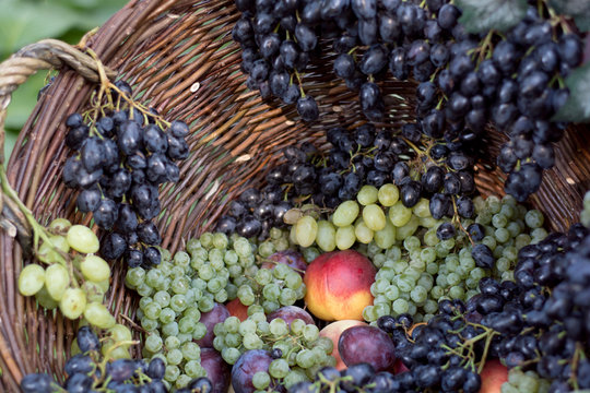 Green grapes, peach, plums in the center of basket