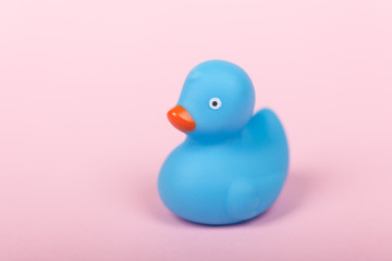 Cute blue rubber duck on pink background